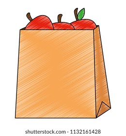 fresh tomatoes in shopping bag