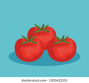 fresh tomatoes vegetables icon