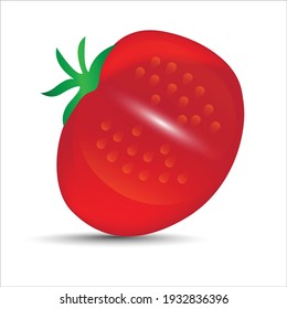 Fresh tomatoes vegetables on white background  vector illustration design