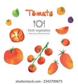 frische Tomaten, Aquarellmalerei