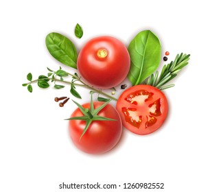 Fresh tomatoes whole and slices realistic composition with basil oregano rosemary herbs aromatic clove spice vector illustration