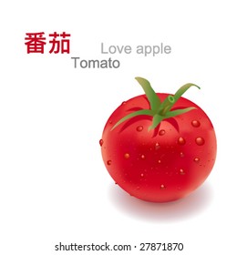 fresh tomato,vector