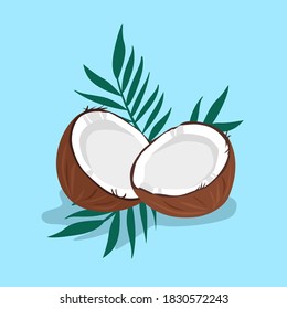 Fresh tropical coconut with palm leaves on bright blue background