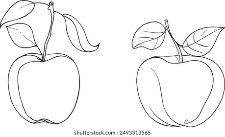 Frische tropische Früchte von Bio-Äpfeln. Gesundes Lebenskonzept. Strichzeichnung von schwarzem Apfel auf weißem Hintergrund. Moderne minimalistische Illustration.