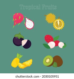 Fresh Tropical Fruit Vector Illustration Dragon Fruit Durian Mangosteen Rambutan Pineapple Kiwi Fruit