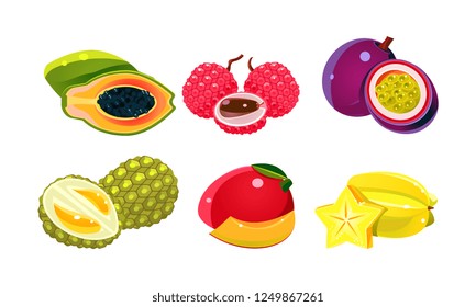 Fresh tropical fruits set, papaya, lychee, chrysophyllum, carambola, durian, mango vector Illustration on a white background
