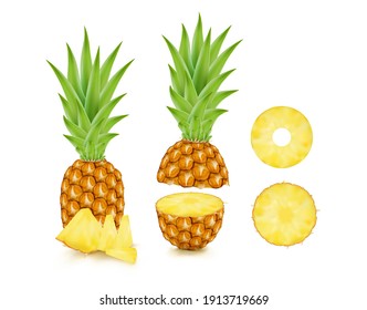 Piña vectorial tropical fresca y rodaja de piña de anillo.