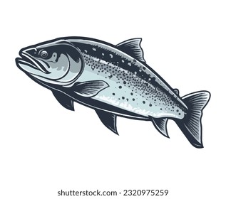 Fresh trout catch , perfect for healthy eating isolated