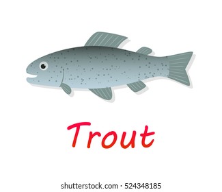 Fresh Trout fish in flat style, vector