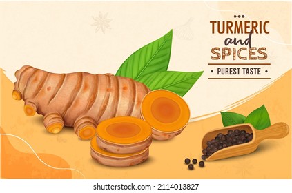 Fresh turmeric root vegetable vector illustration with turmeric slices and black pepper seeds