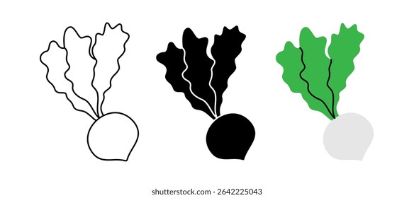 Fresh turnip icon set. Fresh organic vegetable symbol for kitchen, menu, food package design. Vector illustration