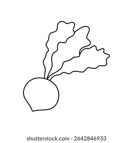 Fresh turnip outline symbol. Fresh organic vegetable. Natural vegetarian food. Healthy eating. Vector illustration