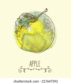 fresh useful eco-friendly apple vector illustration