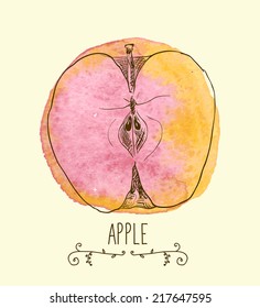 fresh useful eco-friendly apple vector illustration