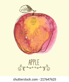 fresh useful eco-friendly apple vector illustration