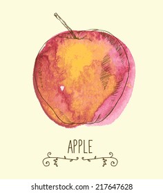 fresh useful eco-friendly apple vector illustration