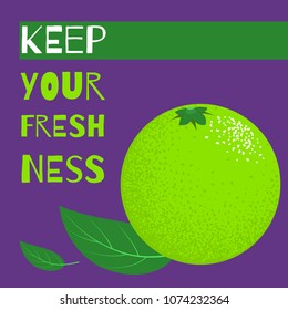 Fresh Vector Illustration with Lime Fruit in Hipster Style. Ripe Juicy Citrus Fruit. Stylized Isolated Lime with Green Petals for Card, Invitation, Flyer, Design, Brochure, Marketing, Advertising.
