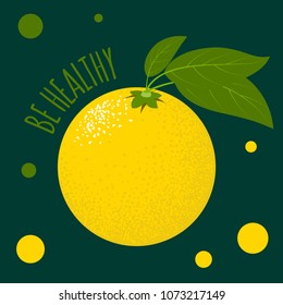 Fresh Vector Illustration with Orange Fruit in Hipster Style. Ripe Juicy Citrus Fruit. Stylized Isolated Lemon with Green Petals for Card, Invitation, Flyer, Design, Brochure, Marketing, Advertising.
