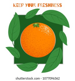 Fresh Vector Illustration with Orange Fruit in Hipster Style. Ripe Juicy Citrus Fruit. Stylized Isolated Orange with Green Petals for Card, Invitation, Flyer, Design, Brochure, Marketing, Advertising.