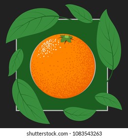 Fresh Vector Illustration with Orange Fruit in Hipster Style. Ripe Juicy Citrus Fruit. Stylized Isolated Orange with Green Petals for Card, Invitation, Flyer, Design, Brochure, Marketing, Advertising.