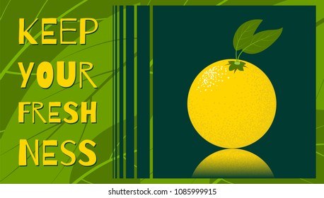 Fresh Vector Illustration with Orange Fruit in Hipster Style. Ripe Juicy Citrus Fruit. Stylized Isolated Lemon with Green Petals for Card, Invitation, Flyer, Design, Brochure, Marketing, Advertising.