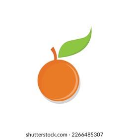 Fresh vector orange fruit of illustration template design