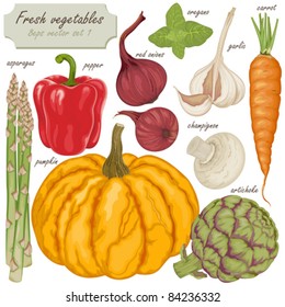 Fresh vector vegetables