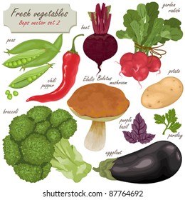 Fresh vector vegetables