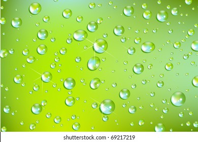 fresh vector water drops