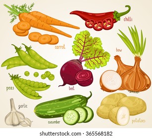 Fresh vegetable. Carrot, chili pepper, peas, garlic, beet, onion, potato, cucumber vector illustration. Natural farm food. Autumn harvest. Assorted veggie for vegetarian diet. Vegetable isolated set
