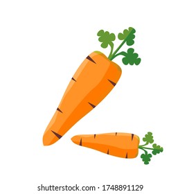 
Fresh Vegetable Carrot Vector Illustration