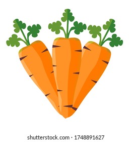 
Fresh Vegetable Carrot Vector Illustration