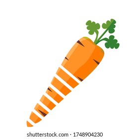 
Fresh Vegetable Carrot Vector Illustration