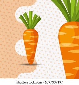 fresh vegetable carrots on dots background