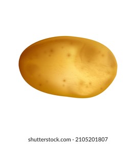 Fresh vegetable concept. 3D colorful sticker with fresh potato tuber with peel. Healthy food or diet. Agriculture or harvesting. Cartoon realistic vector illustration isolated on white background