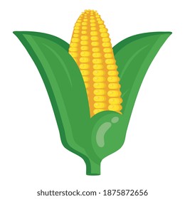 fresh vegetable corn cob healthy food icon vector illustration design