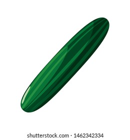 fresh vegetable cucumber on white background
