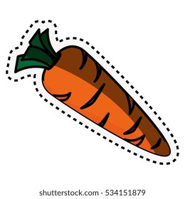 fresh vegetable with cut line isolated icon