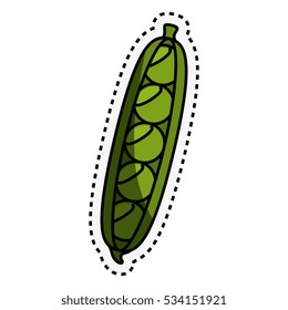 fresh vegetable with cut line isolated icon