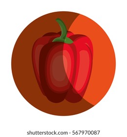 fresh vegetable farm product