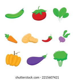 fresh vegetable illustration set for design and web isolated on white background