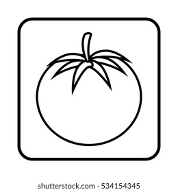 fresh vegetable isolated icon