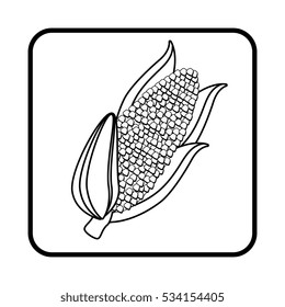 fresh vegetable isolated icon