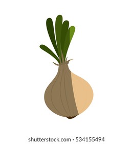 fresh vegetable isolated icon