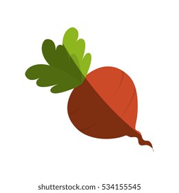 fresh vegetable isolated icon
