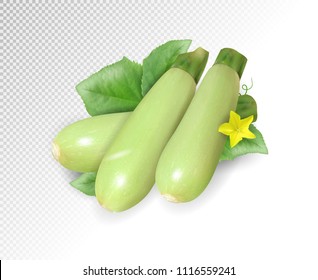 Fresh vegetable marrow decorated with green leaf and flower. Realistic vector on transparent background, 3d illustration