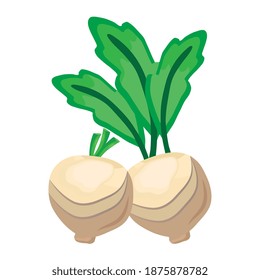fresh vegetable onions healthy food icon vector illustration design