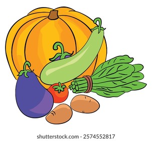 Fresh vegetable potato, brinjal, spinach, pumpkin, tomato vector illustration