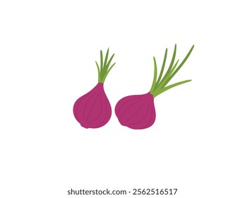 Fresh Vegetable red Onion, Organic healthy food