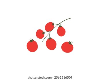 Fresh Vegetable red tomato, cherry tomatoes branch. Organic healthy food